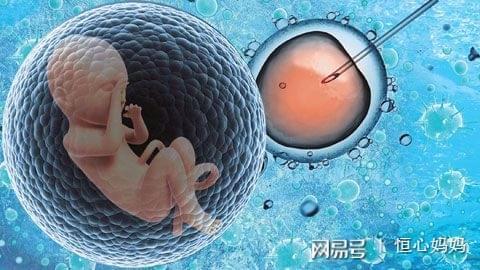正规同性代孕咨询包生儿子